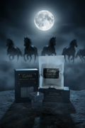 Midnight Rider Wax Melts