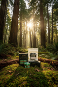 Muir Woods Wax Melts