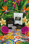 Beija Bloom Wax Melts